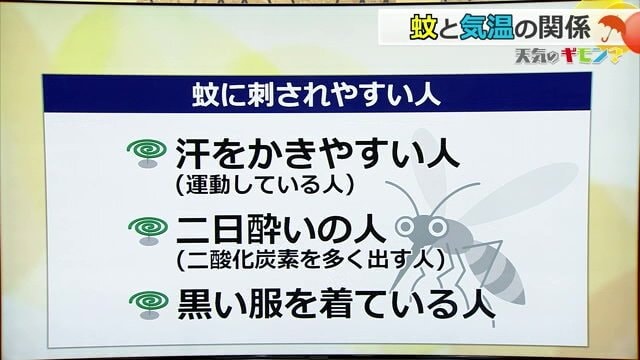 蚊に刺されやすい人の特徴