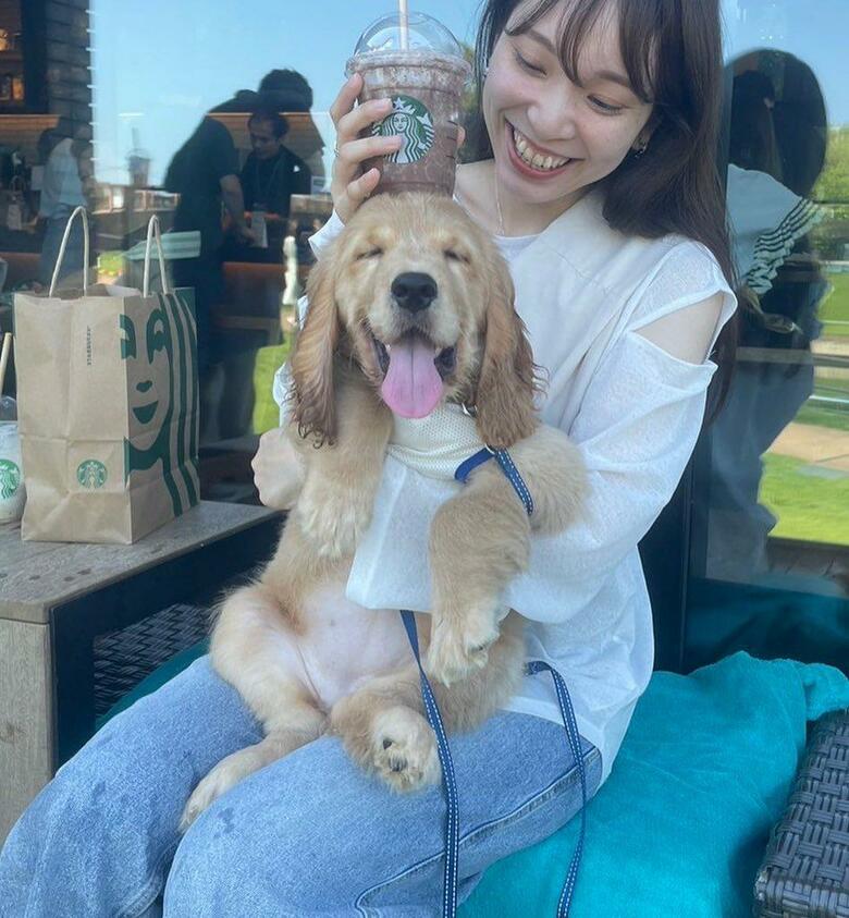 提供：関口和也さん