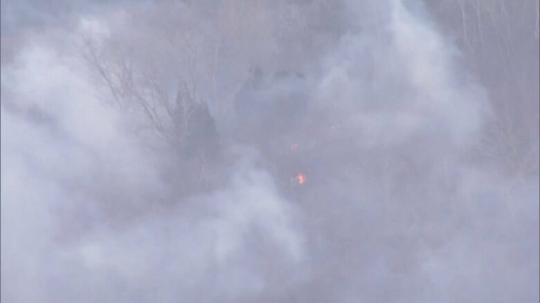 木の間からは複数の赤い炎が見える（2月27日午前）