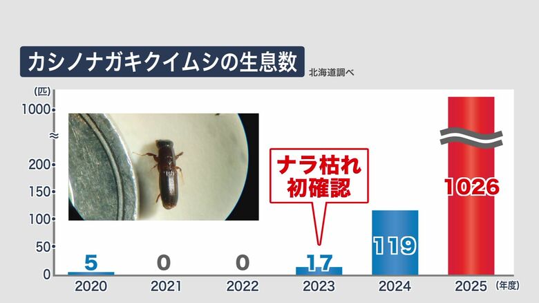 カシノナガキクイムシ生息数の推移