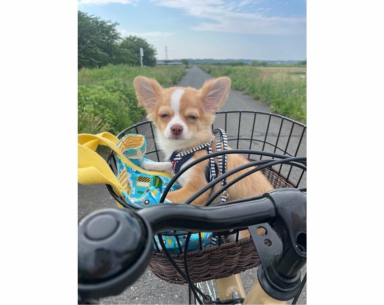 提供：ふくのすけさん