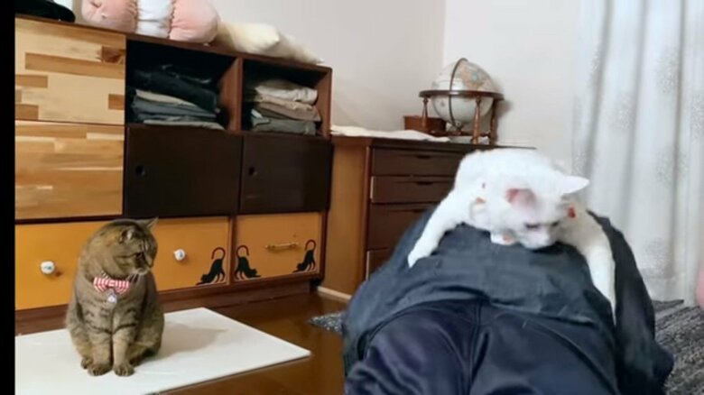 以前は背中に乗っていた