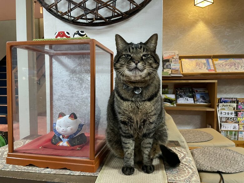 貫禄の表情を見せる