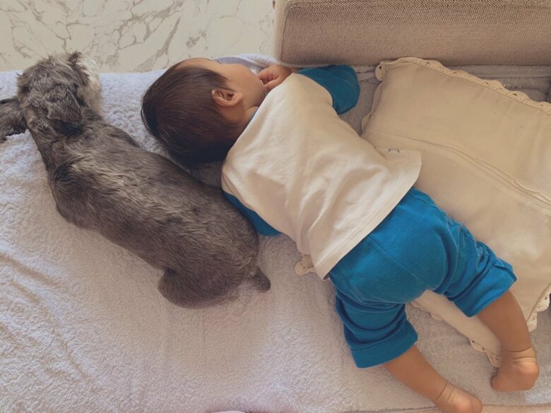 提供：くぅさん