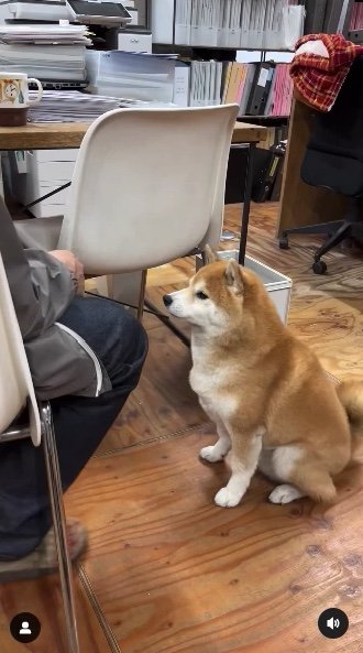 提供：エイトデザイン