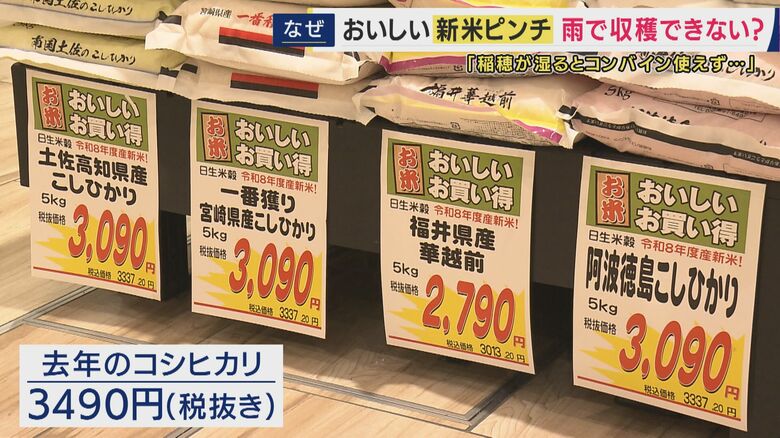 新米