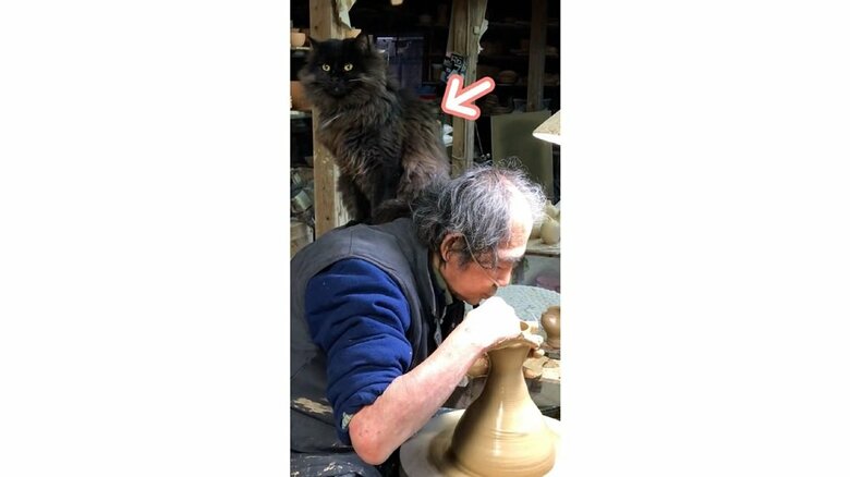 お父さんの肩上にいるネルソンくん