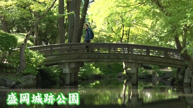 NYタイムズ紙でも紹介された、盛岡城跡公園
