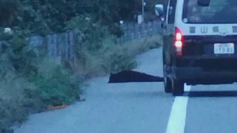 提供　中日本高速道路