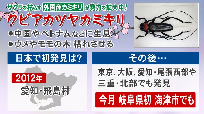 ニュースONE