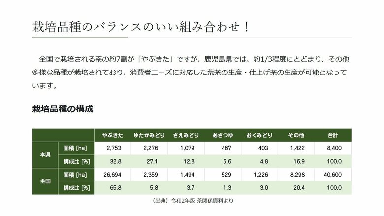 多品種の茶を育てているのも特徴（出典：鹿児島県茶生産協会）