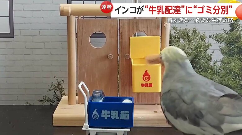 カートで牛乳を運び、ドア前の箱のふたを開け、牛乳瓶を投入したティアくん