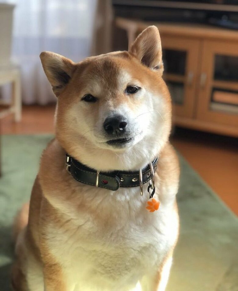 瞳がトロンとしている