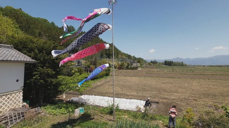 青空の中を泳ぐ輪湖さん宅のこいのぼり（松本市）