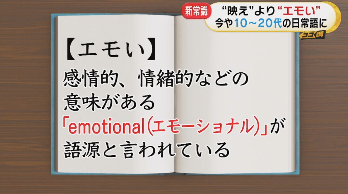 映え はもう古い 10代 代の最新日常語 エモい のイマドキの使い方を徹底調査 Fnnプライムオンライン Goo ニュース