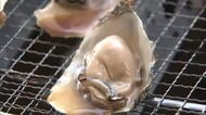 杵築で冬の味覚“マガキ”が旬　カキ小屋にぎわう「最高です」2026年2月ごろまで　大分