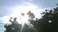 県内22地点で真夏日、14地点が今季一番の暑さ　大仙市で70代男性が意識不明、熱中症の疑い　秋田