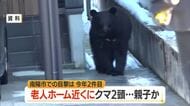 【クマ出没】親子とみられるクマ2頭目撃…特別養護老人ホーム近くで　山形・南陽市