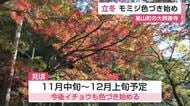 きょうは「立冬」基山町・大興善寺のモミジも色づき始める【佐賀県】