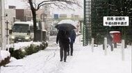 【警戒】各地で雪による事故…長野で衝突事故など計5件相次ぎ発生　大雪警報発令の埼玉で計4人が転倒などによるけがも　路面凍結に注意
