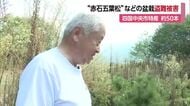 「全部根こそぎ…許せない」四国中央で輸出前“赤石五葉松”など盆栽盗難で被害届　被害５００万円【愛媛】