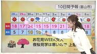 富山 今週末気温上昇で一気に桜開花か…気象予報士解説「花粉に注意」