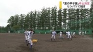 「夏の甲子園」中止決定 県大会開催に望み託し変わらず練習に打ち込む選手たち【岩手県】