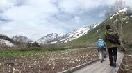 残雪の白馬三山とミズバショウの絶景 ゴンドラとロープウェイで行ける山上の別天地・栂池自然園がオープン