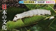 戦前には世界一の輸出量「日本の文化」“養蚕業”のピンチ　養蚕農家が過去最少113戸に　輸入品との“価格競争”と“後継者不足”　新たなビジネスで事業拡大で売り上げ伸ばす業者も