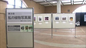 富山市の県中央植物園で「私の植物写真展」開催