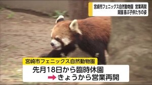 宮崎市フェニックス自然動物園 久しぶりに営業再開