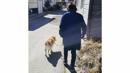 高齢母がリードを持つとゆっくり…飼い主の時と“散歩の態度”が違う柴犬が「優しさのかたまり」