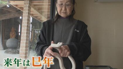 「白ヘビ」の赤ちゃん10匹誕生  “金運の神”を一目見ようと1日300人  果たしてご利益は？ 【福岡発】