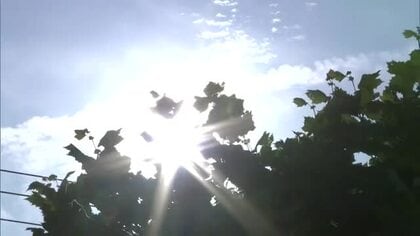県内22地点で真夏日、14地点が今季一番の暑さ　大仙市で70代男性が意識不明、熱中症の疑い　秋田