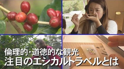 新しい旅の形「エシカルな旅とは？」沖縄が持続可能な観光地であり続けるために