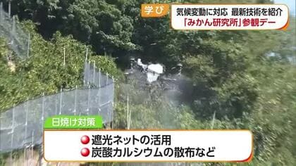 猛暑の日焼けの対策は？宇和島で「みかん研究所参観デー」最新の研究成果を生産者に説明【愛媛】