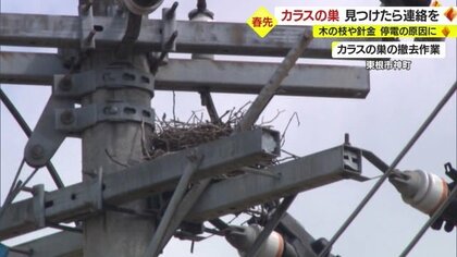 春は“カラスの巣”が原因で停電増加　東北電力が撤去作業を公開「見つけた際は連絡を」【山形発】