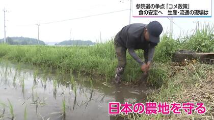「高くなると色々言われ、安い時にはもうからない」　コメ生産農家の思いと参院選「コメ政策」各党の公約