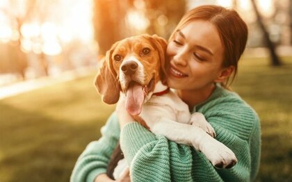 においだって愛せる 約8割の飼い主さんが 愛犬は 良いにおい と回答 好きなにおいの部位は王道の 肉球 をおさえて あたま が第1位に