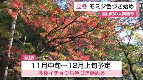きょうは「立冬」基山町・大興善寺のモミジも色づき始める【佐賀県】