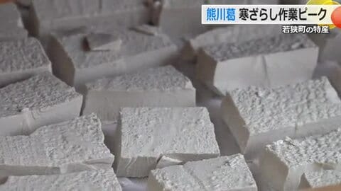 冷水にさらして“白さ”を追求　若狭町で特産「熊川葛」の寒ざらし作業が最盛期　風味の良いなめらかな口当たりに