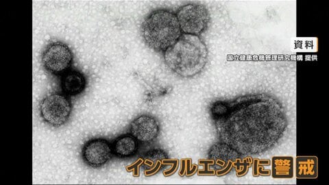 “患者30倍”インフルエンザ感染急拡大　1カ月早い流行の背景　長雨や寒暖差が影響か　ワクチン接種も前倒しに