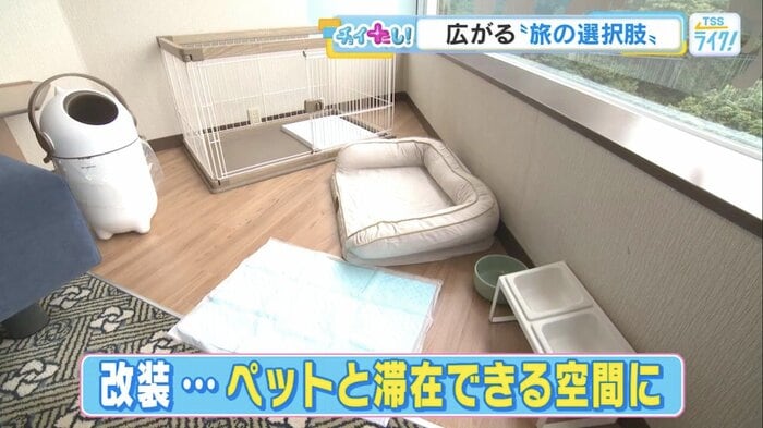 ペットと滞在できる空間に改装