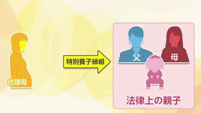 特別養子縁組の手続きを踏んで正式に「親子」となる