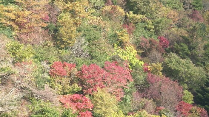 2023年10月25日 山肌の紅葉が始まっていた