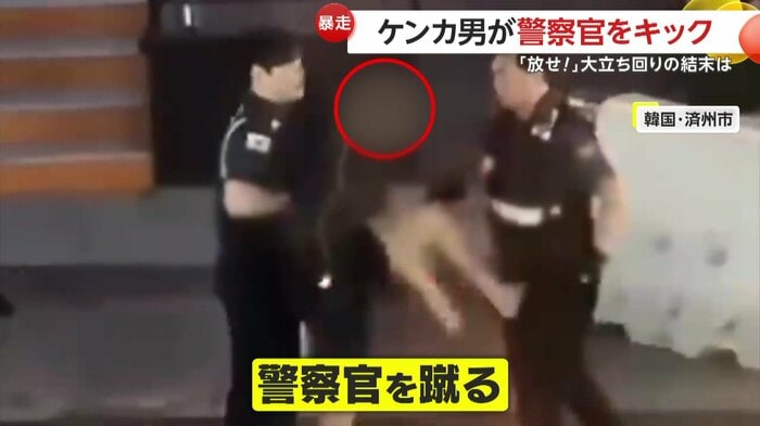 男が警察官を蹴った瞬間(提供:韓国警察庁)