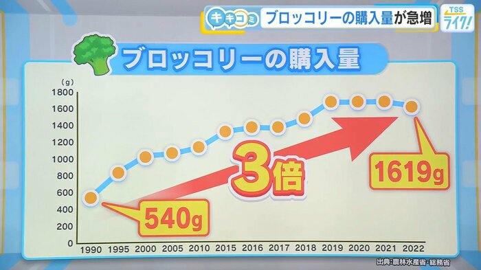 ブロッコリーの購入量