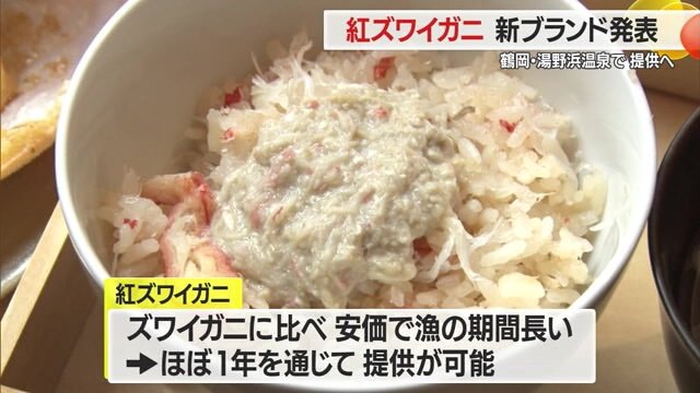 紅ズワイガニは、ズワイガニに比べ安価で漁の期間が長い