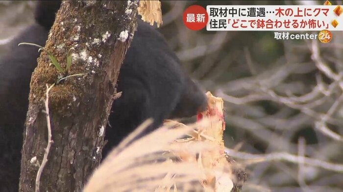 なんとか逃れようと柿の木をかじり続け、血のようなものも
