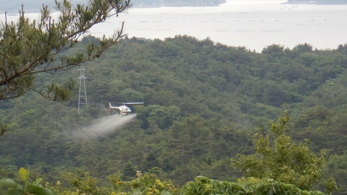 ヘリでの薬剤散布を行うこともある(出典:宮城県)